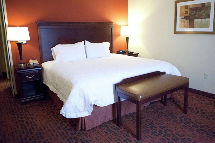 Imagen de la habitación del Hotel Hampton Inn Rochester Webster. Foto 15
