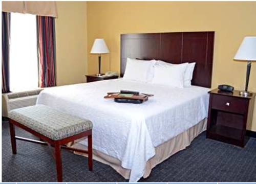 Imagen de la habitación del Hotel Hampton Inn Rock Hill. Foto 8
