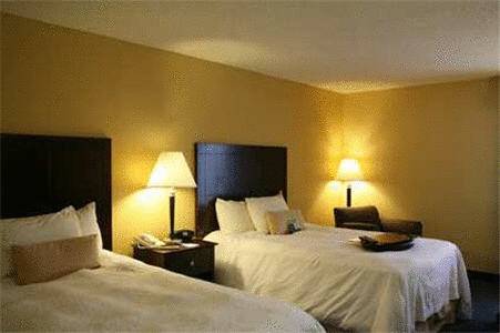 Imagen de la habitación del Hotel Hampton Inn Rock Hill. Foto 10