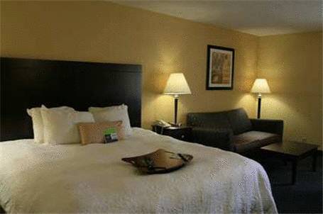 Imagen general del Hotel Hampton Inn Rock Hill. Foto 1
