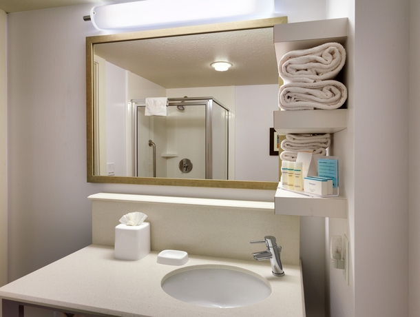 Imagen de la habitación del Hotel Hampton Inn Salt Lake City - Downtown. Foto 9