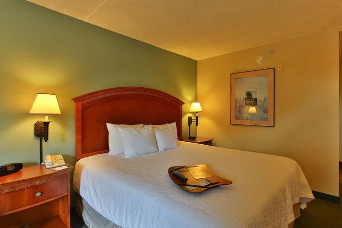 Imagen de la habitación del Hotel Hampton Inn San Antonio Stone Oak. Foto 4