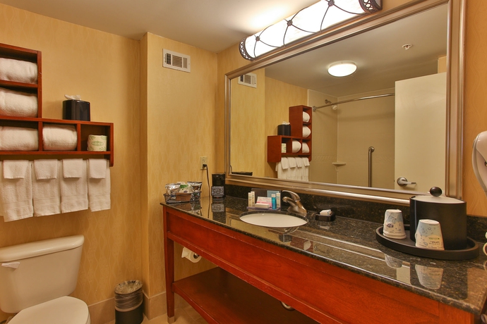 Imagen de la habitación del Hotel Hampton Inn San Antonio Stone Oak. Foto 10