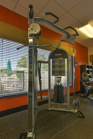 Imagen de los interiores del Hotel Hampton Inn San Antonio Stone Oak. Foto 14