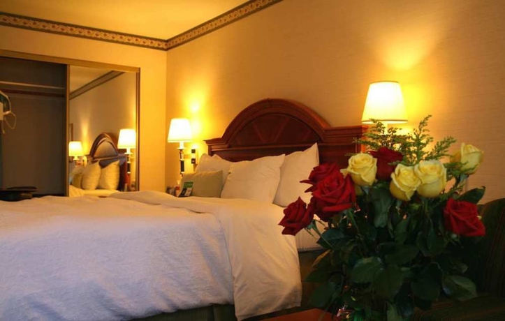 Imagen de la habitación del Hotel Hampton Inn San Francisco Airport. Foto 7