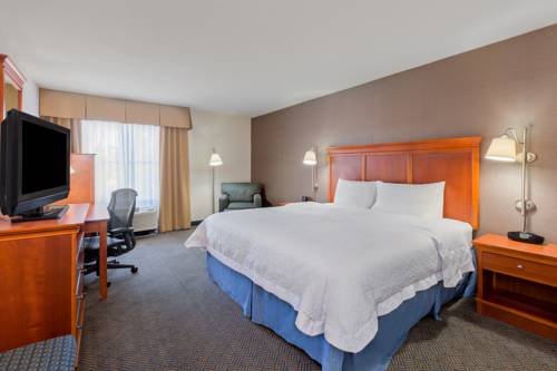 Imagen de la habitación del Hotel Hampton Inn San Marcos. Foto 3