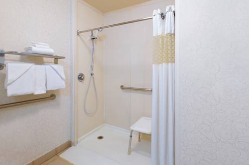 Imagen de la habitación del Hotel Hampton Inn San Marcos. Foto 4