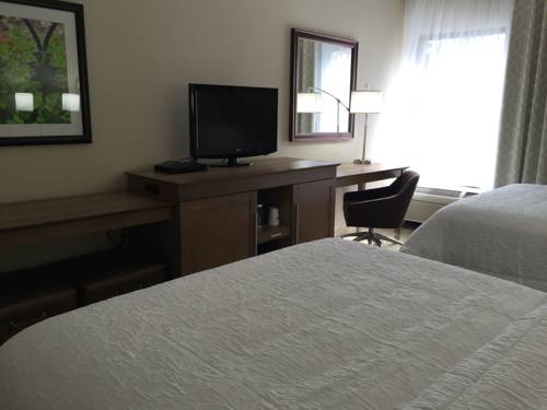 Imagen de la habitación del Hotel Hampton Inn Savannah-i-95/richmond Hill. Foto 1