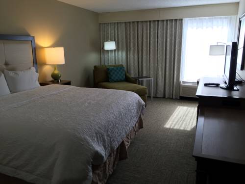 Imagen de la habitación del Hotel Hampton Inn Savannah-i-95/richmond Hill. Foto 5