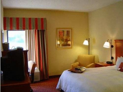 Imagen general del Hotel Hampton Inn Sevierville. Foto 1