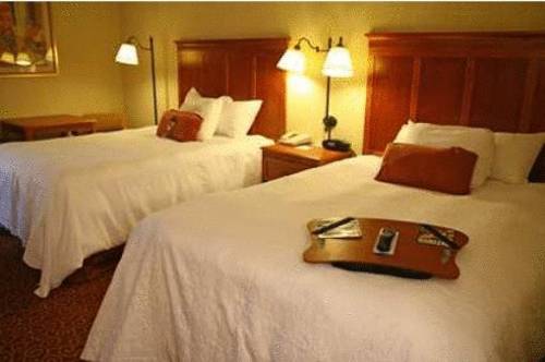 Imagen de la habitación del Hotel Hampton Inn Sevierville. Foto 3