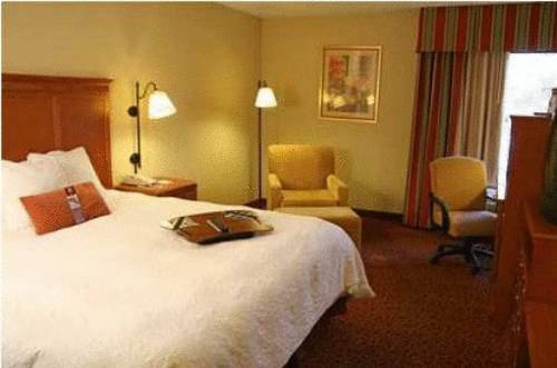 Imagen de la habitación del Hotel Hampton Inn Sevierville. Foto 10