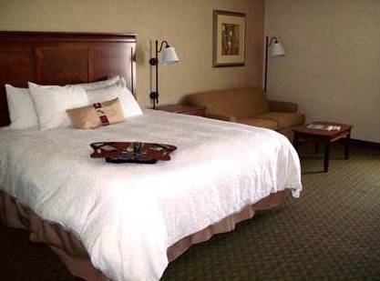 Imagen general del Hotel Hampton Inn Sidney. Foto 1