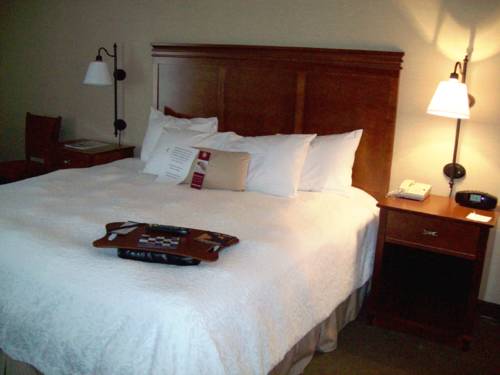 Imagen de la habitación del Hotel Hampton Inn Sidney. Foto 3
