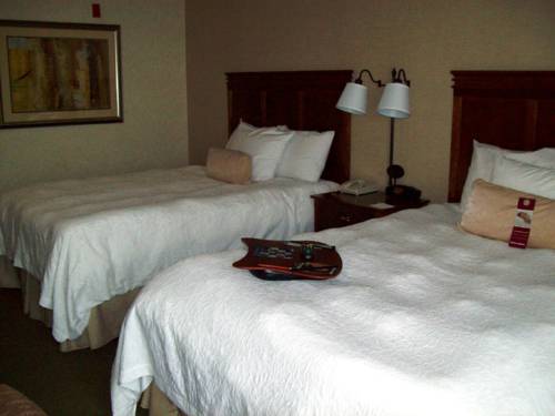 Imagen de la habitación del Hotel Hampton Inn Sidney. Foto 4