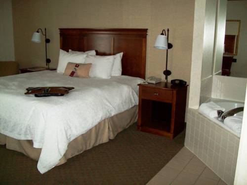 Imagen de la habitación del Hotel Hampton Inn Sidney. Foto 5