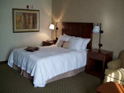Imagen de la habitación del Hotel Hampton Inn Sidney. Foto 6