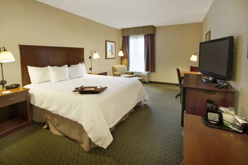 Imagen de la habitación del Hotel Hampton Inn Sidney. Foto 11