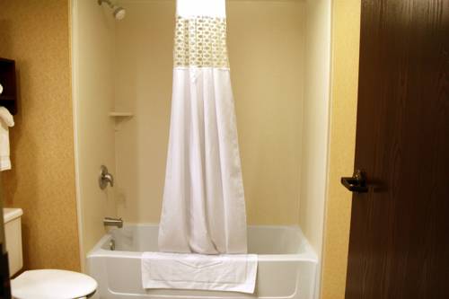 Imagen de la habitación del Hotel Hampton Inn Somerset. Foto 9