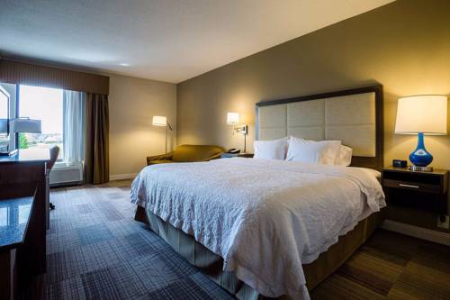 Imagen de la habitación del Hotel Hampton Inn Somerset, Somerset. Foto 11