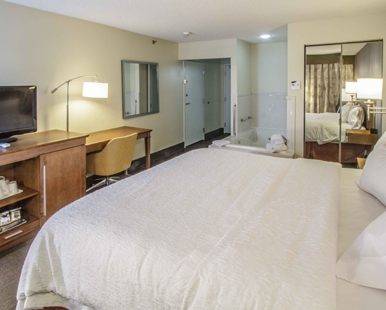 Imagen de la habitación del Hotel Hampton Inn South Haven. Foto 6