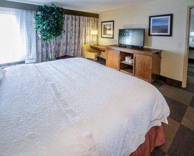 Imagen de la habitación del Hotel Hampton Inn South Haven. Foto 8