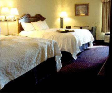 Imagen de la habitación del Hotel Hampton Inn South Hill. Foto 3