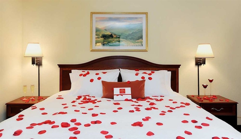 Imagen de la habitación del Hotel Hampton Inn Spartanburg-north I-85. Foto 7