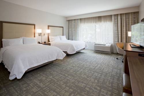 Imagen de la habitación del Hotel Hampton Inn Spicer Green Lake, Mn. Foto 1