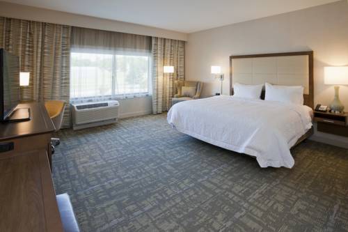 Imagen de la habitación del Hotel Hampton Inn Spicer Green Lake, Mn. Foto 2