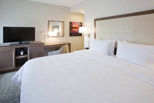 Imagen de la habitación del Hotel Hampton Inn Spicer Green Lake, Mn. Foto 3