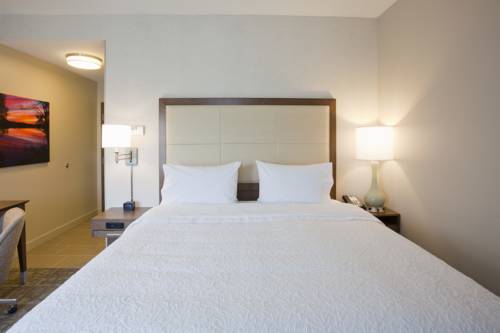 Imagen de la habitación del Hotel Hampton Inn Spicer Green Lake, Mn. Foto 4