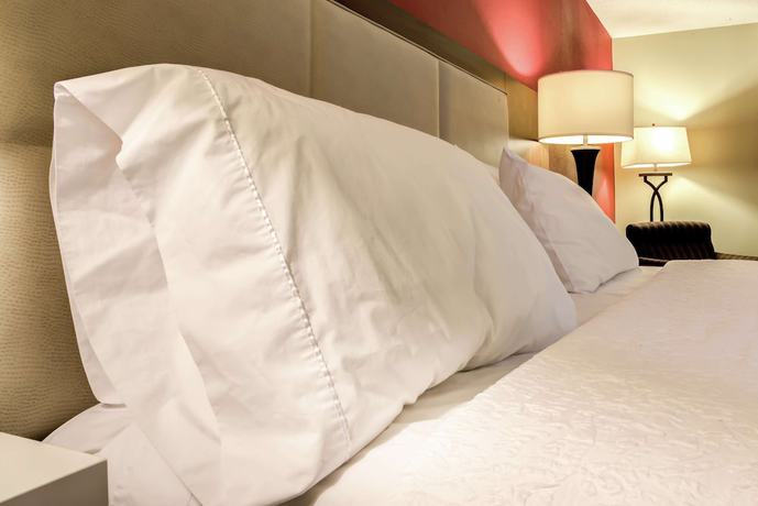 Imagen de la habitación del Hotel Hampton Inn St. Joseph. Foto 17