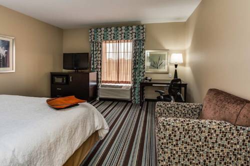 Imagen general del Hotel Hampton Inn Statesboro. Foto 1