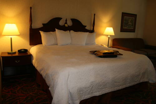Imagen de la habitación del Hotel Hampton Inn Stroudsburg/poconos. Foto 6
