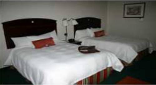 Imagen de la habitación del Hotel Hampton Inn Sturbridge. Foto 3