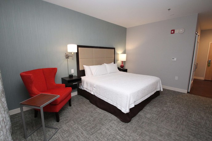Imagen de la habitación del Hotel Hampton Inn Suffolk. Foto 11