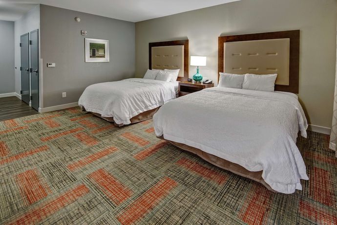 Imagen de la habitación del Hotel Hampton Inn Summerville Sc. Foto 6