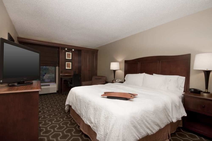 Imagen de la habitación del Hotel Hampton Inn Tampa-international Airport/westshore. Foto 8