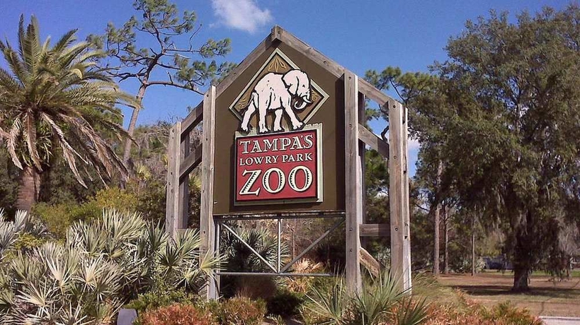 Imagen de los exteriores del Hotel Hampton Inn Tampa-international Airport/westshore. Foto 10