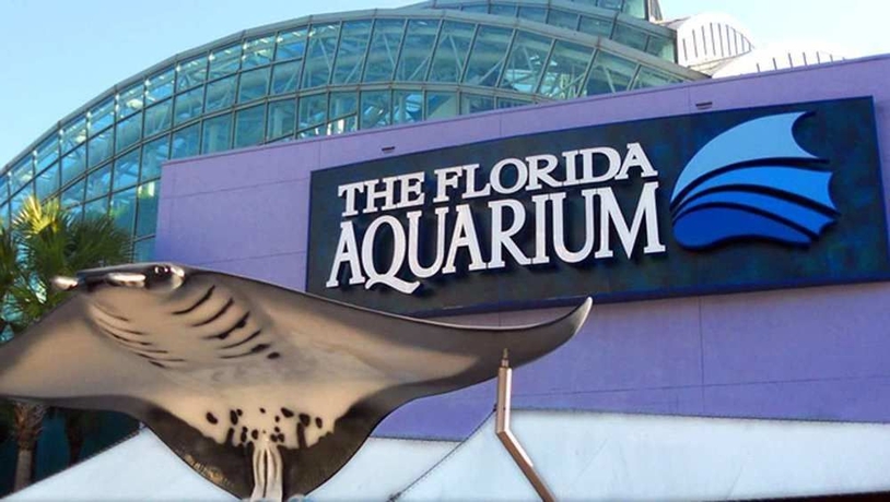 Imagen de los exteriores del Hotel Hampton Inn Tampa-international Airport/westshore. Foto 11