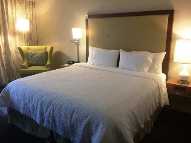 Imagen de la habitación del Hotel Hampton Inn Tampa/rocky Point-airport. Foto 8