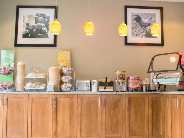 Imagen general del Hotel Hampton Inn Tampa-veterans Expwy (airport North). Foto 5