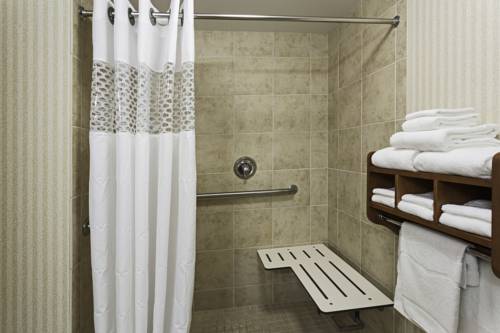 Imagen de la habitación del Hotel Hampton Inn Toledo-south/maumee. Foto 11