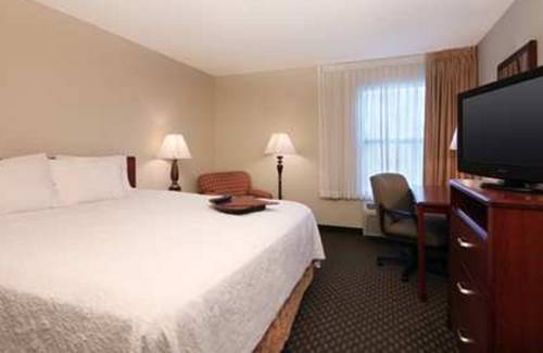 Imagen de la habitación del Hotel Hampton Inn Tracy. Foto 8