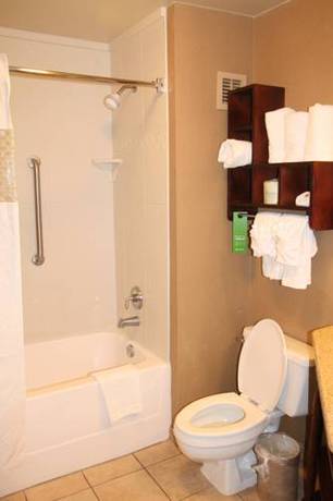 Imagen de la habitación del Hotel Hampton Inn Tuscaloosa-university. Foto 3