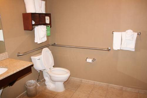 Imagen de la habitación del Hotel Hampton Inn Tuscaloosa-university. Foto 4