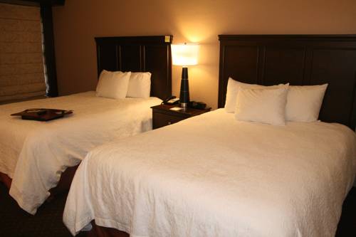 Imagen de la habitación del Hotel Hampton Inn Tuscaloosa-university. Foto 8