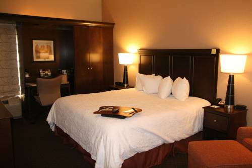 Imagen de la habitación del Hotel Hampton Inn Tuscaloosa-university. Foto 11