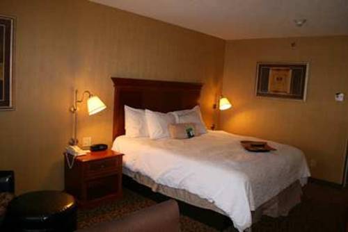 Imagen de la habitación del Hotel Hampton Inn Utica. Foto 5